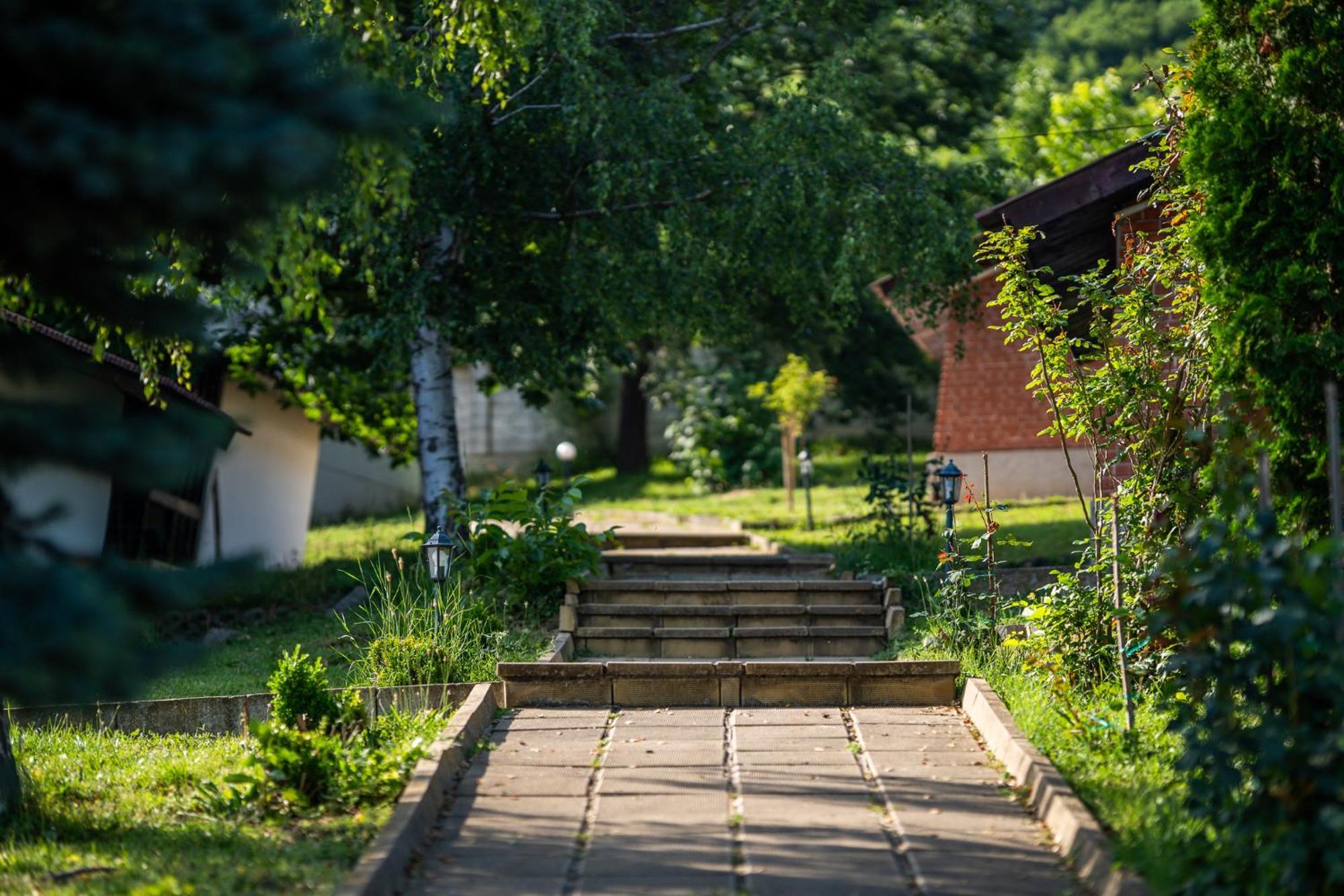 Комплекс Асеневци Tsareva Livada Exterior foto